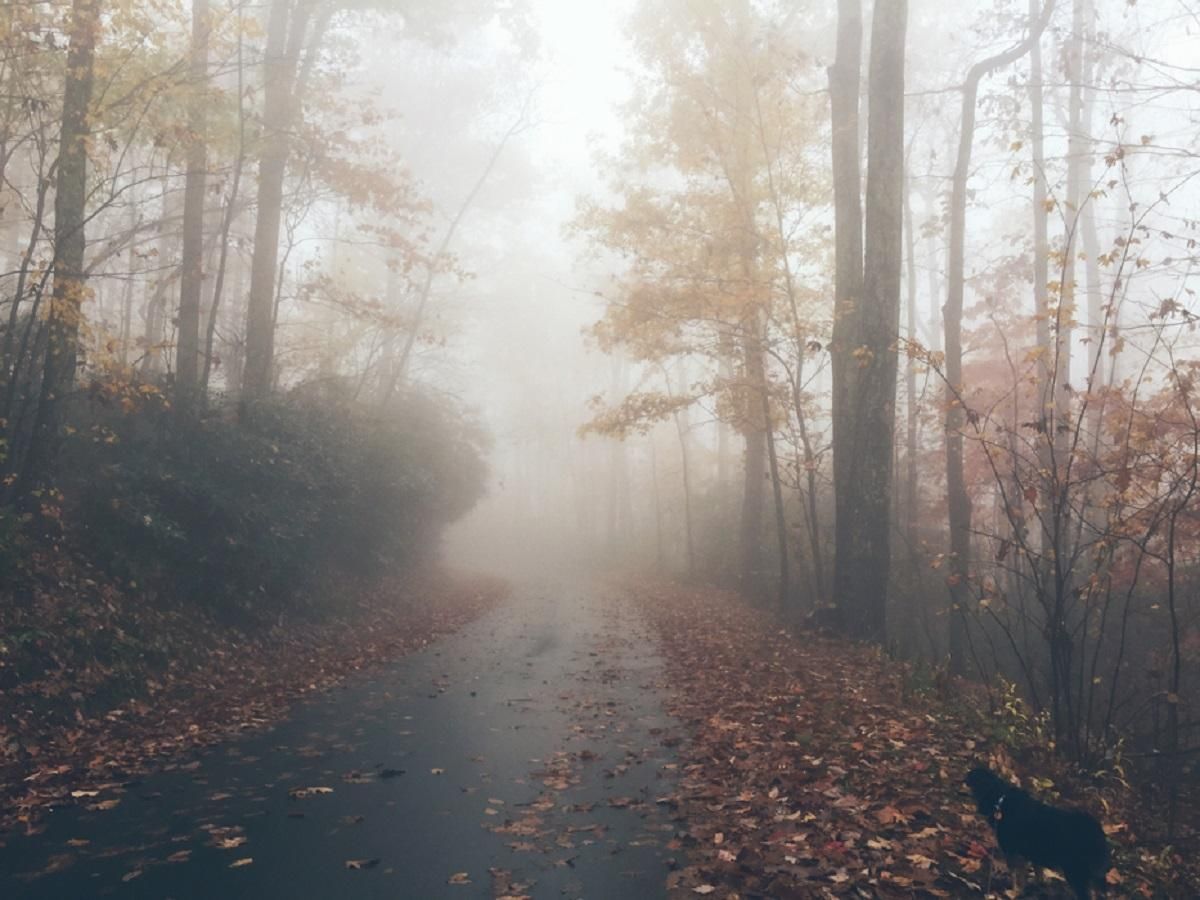 Погода 3 листопада 2020: прогноз від синоптиків України Погода 3 листопада 2020: прогноз від синоптиків України