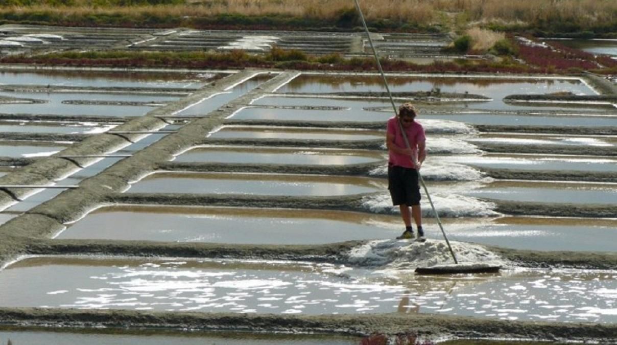 Российский Институт ядерных исследований обладает недрами в Украине Российский Институт ядерных исследований обладает недрами в Украине