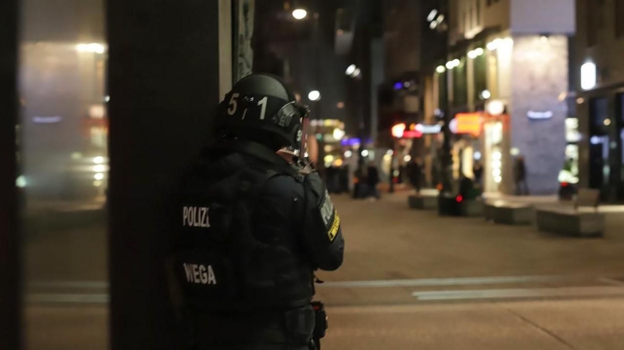 МВД Австрии: Стрельба в Вене - теракт