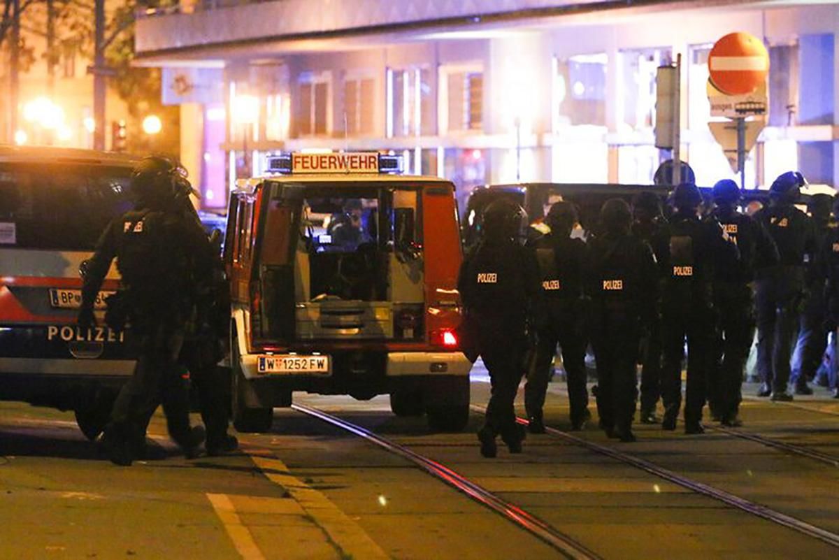 Действовали несколько преступников с винтовками, - полиция Вены о теракте