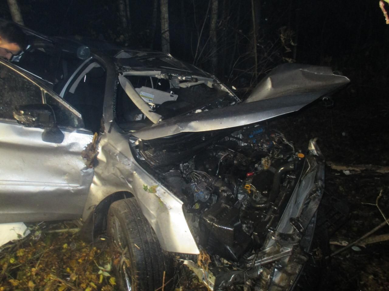 На Львівщині автівка Subaru врізалась в дерево: водій загинув