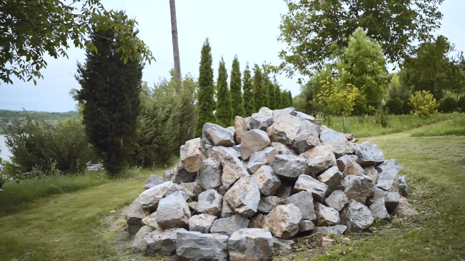 Дендропарк в Хотине: братья-садоводы хотят изменить город Дендропарк в Хотине: братья-садоводы хотят изменить город