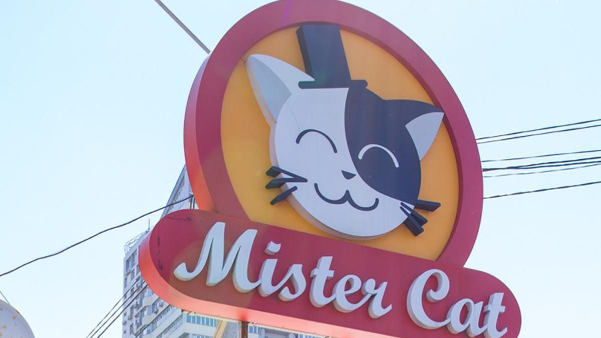 У Києві Mister Cat надсилала дивні повідомлення клієнтам У Києві Mister Cat надсилала дивні повідомлення клієнтам