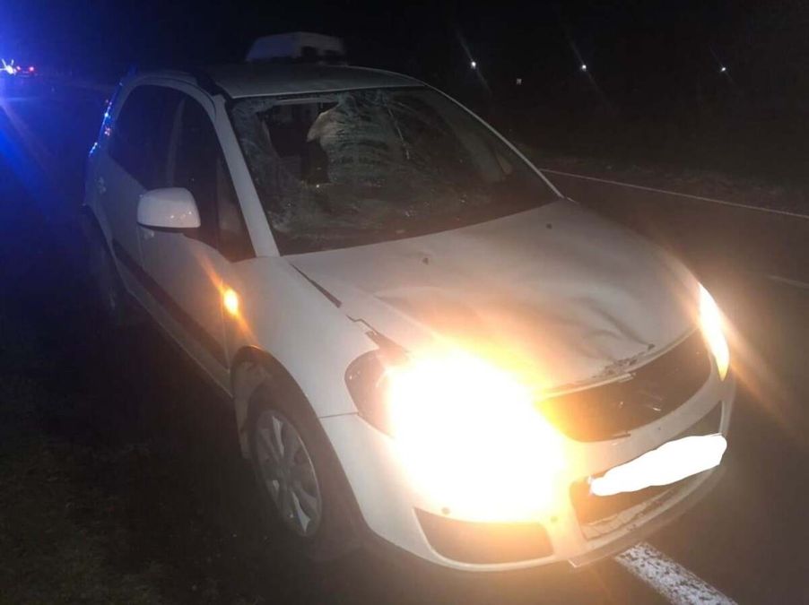 На Львівщині водійка Suzuki 03.11.2020 на смерть збила велосипедиста