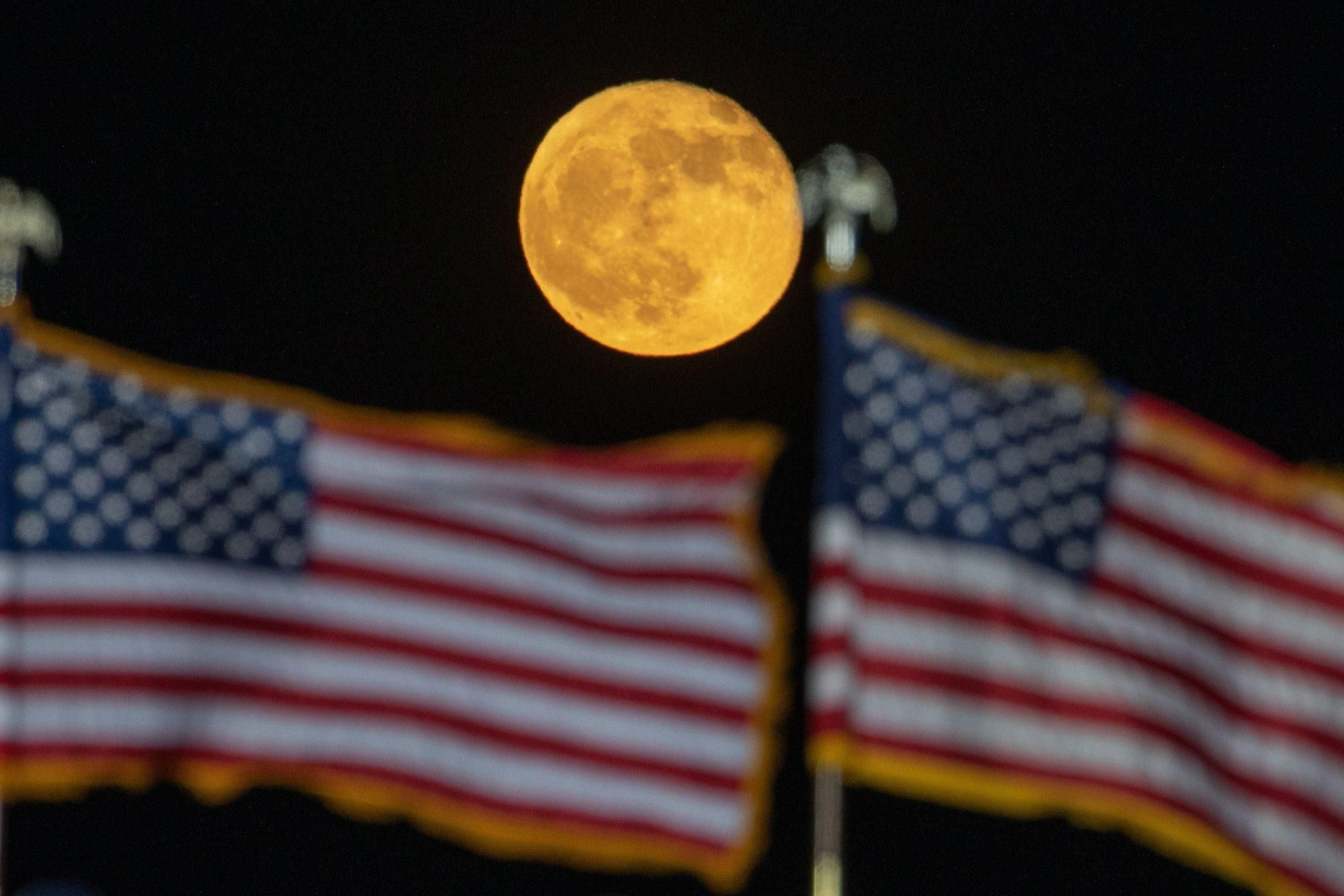 За выборами в США 2020 наблюдает весь мир За выборами в США 2020 наблюдает весь мир