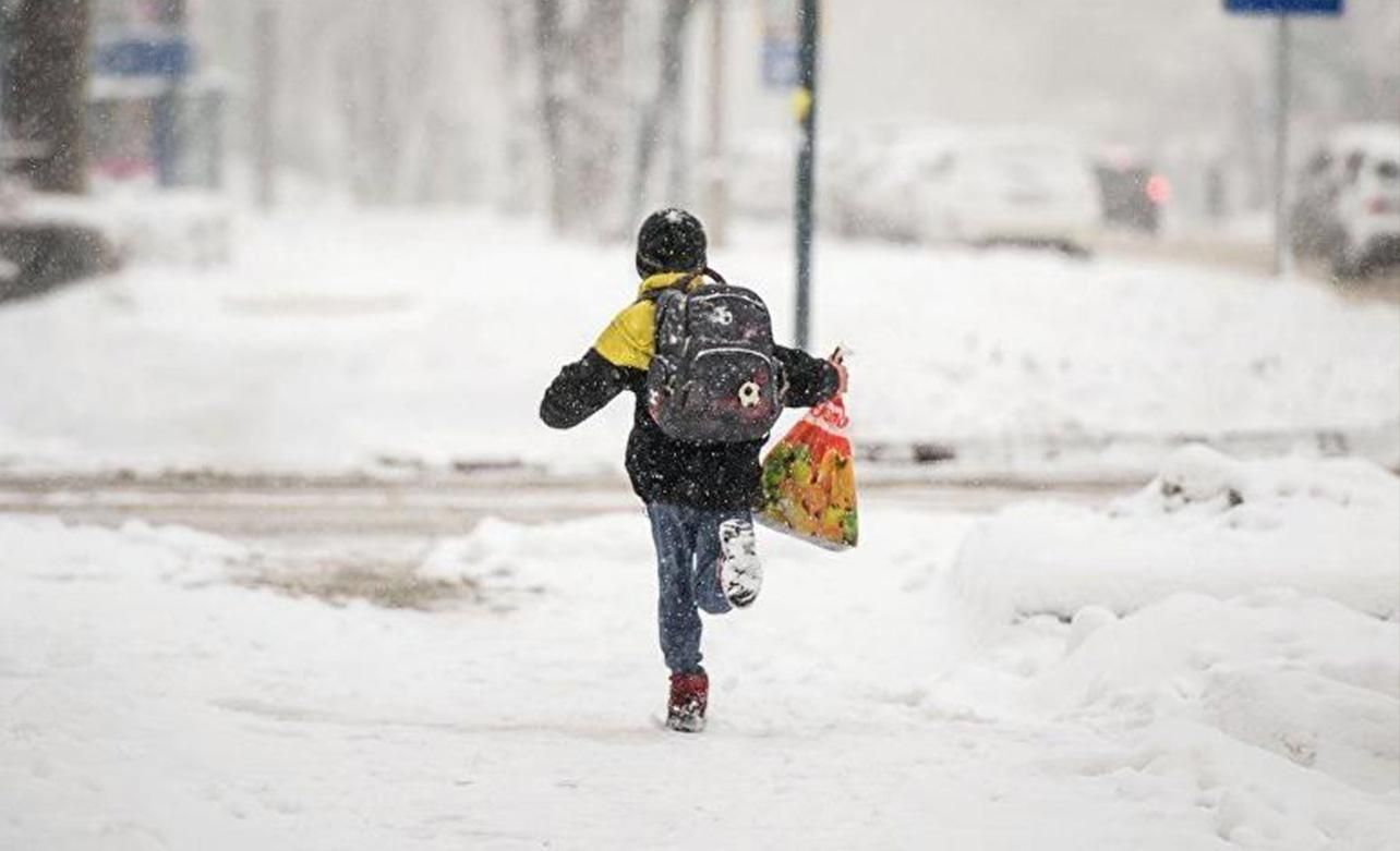 МОН: Подвійні зимові канікули – це фейк: коли будуть відпочивати учні МОН: Подвійні зимові канікули – це фейк: коли будуть відпочивати учні