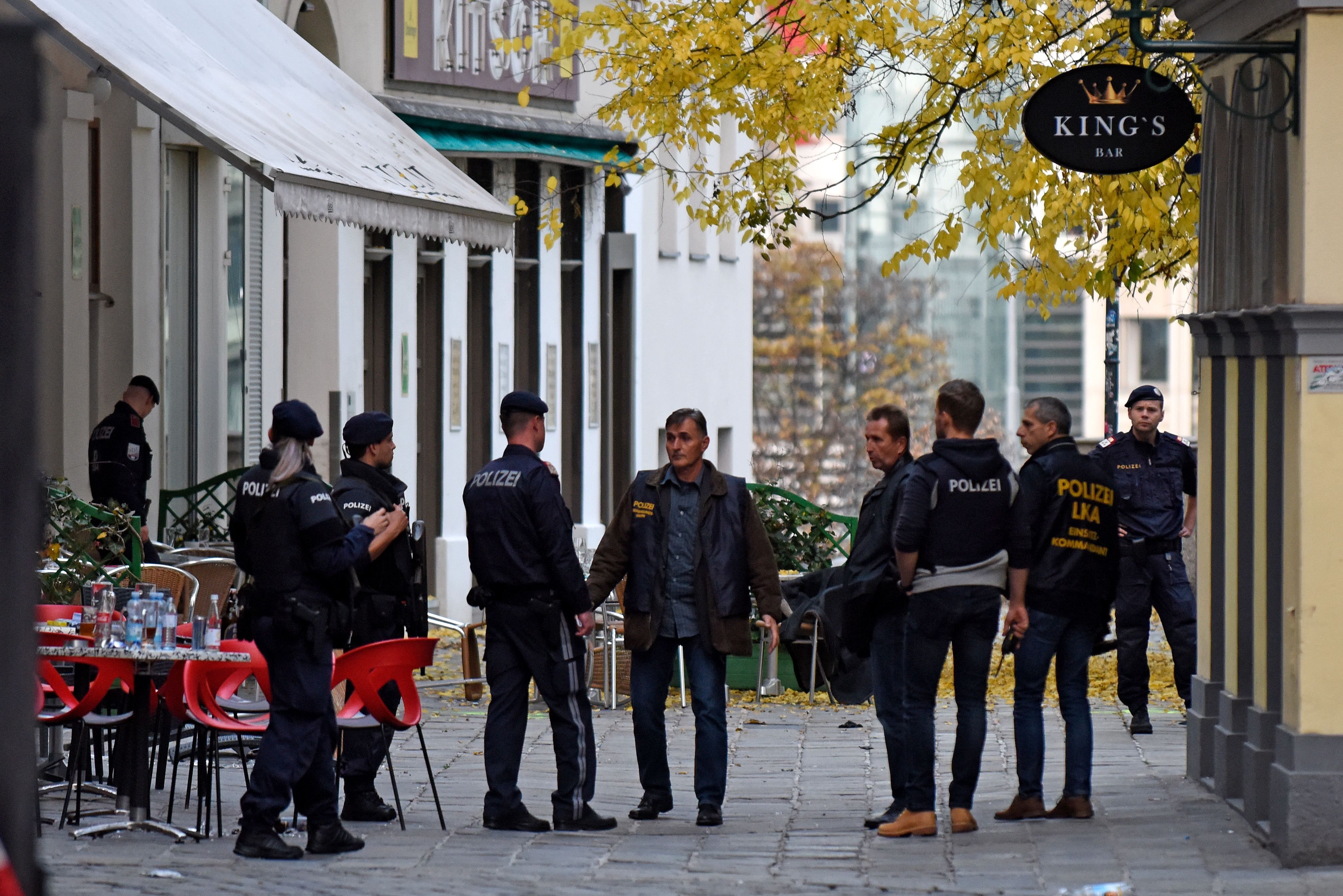 Теракт у Відні могла скоїти одна людина: заява глави МВС Австрії