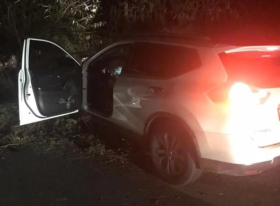 На Львівщині водій Nissan в’їхав в дерево та загинув: фото