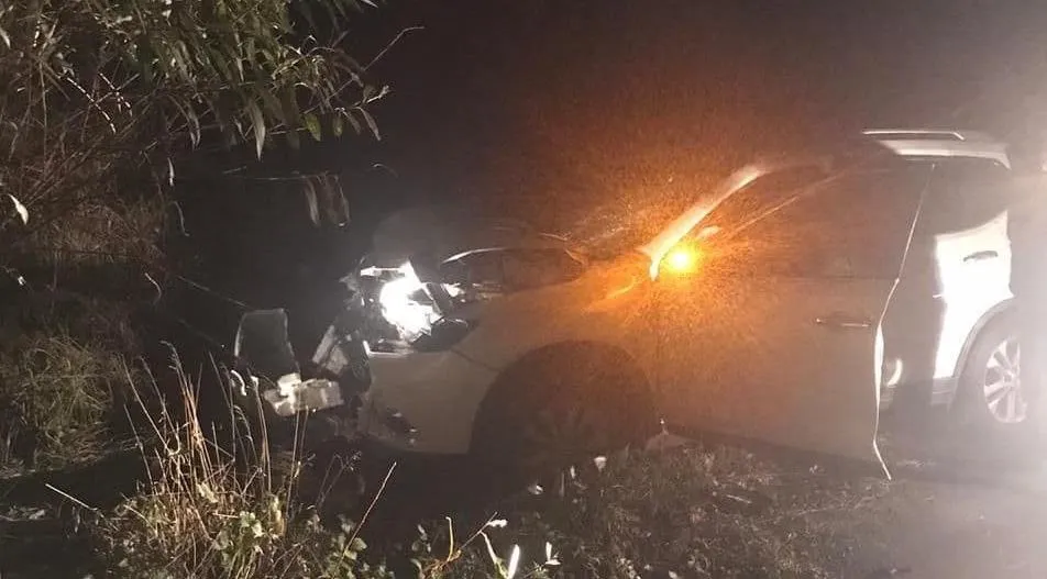 На Львівщині водій Nissan в’їхав в дерево та загинув: фото