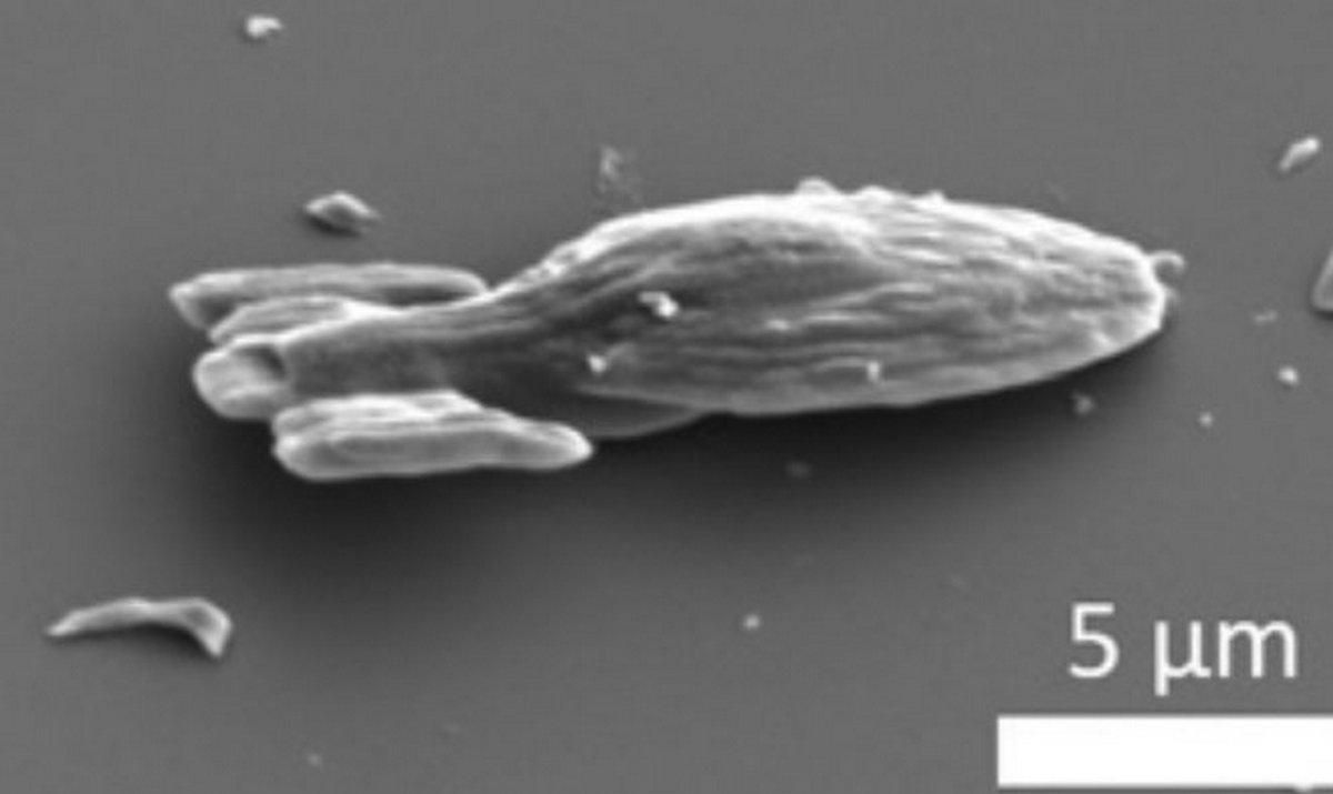 Star Trek Voyager без двигунів переміщається в рідині, новини Техно 24 Star Trek Voyager без двигунів переміщається в рідині, новини Техно 24