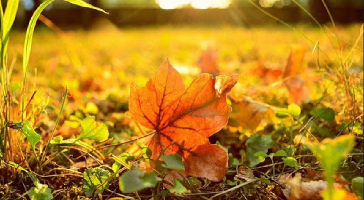 Погода 6 ноября 2020: прогноз от синоптиков Украины Погода 6 ноября 2020: прогноз от синоптиков Украины