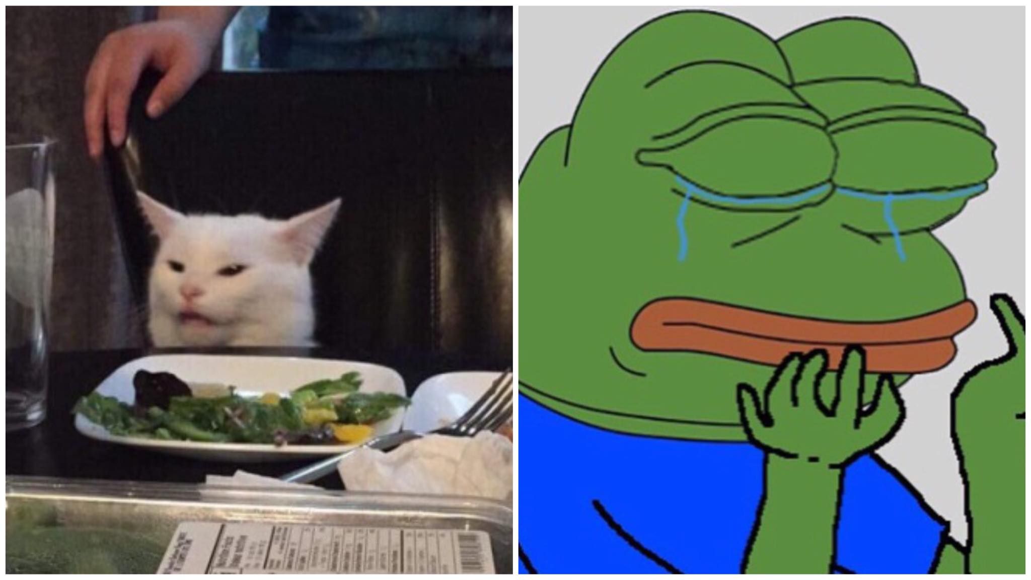 Кіт за столом та зелене жабеня: меми, які викликали фурор в інтернеті Кіт за столом та зелене жабеня: меми, які викликали фурор в інтернеті