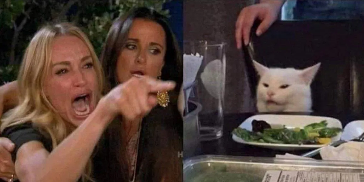 Мем, кіт Мем, кіт