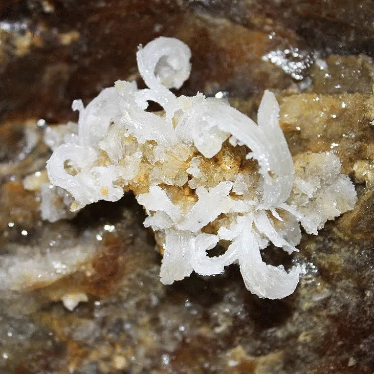 печера оптимістична печера оптимістична