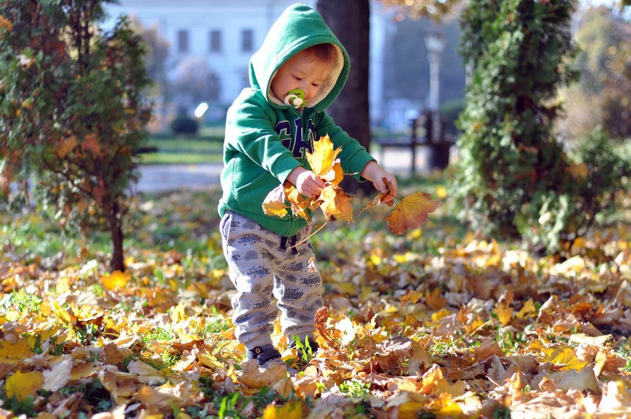 Погода 7 ноября 2020: прогноз от синоптиков Украины Погода 7 ноября 2020: прогноз от синоптиков Украины