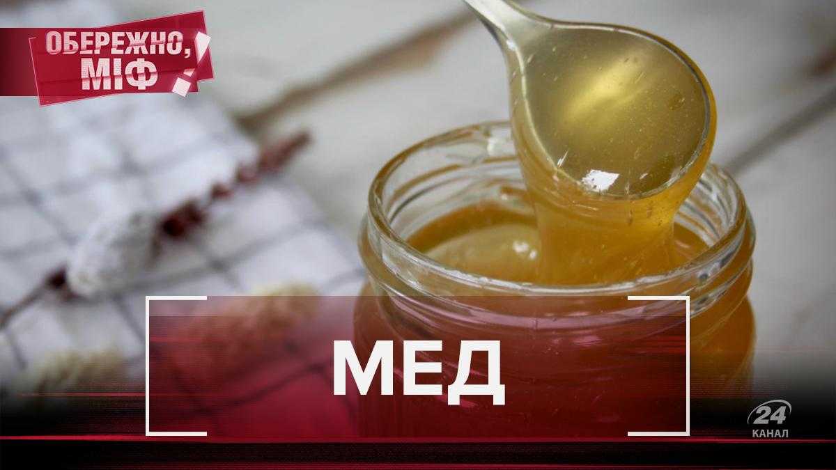 При нагревании становится ядом: самые известные мифы о меде - Новости  Украины - 24 Канал