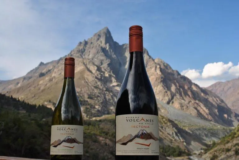 Вино Bodega Volcanes de Chile Вино Bodega Volcanes de Chile