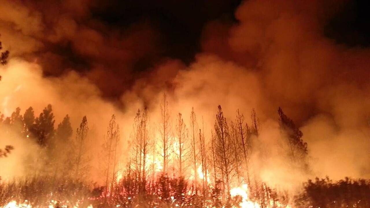 Лісові пожежі - біда України 
