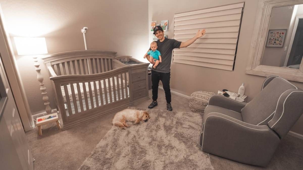 Прибирання в домі з тваринами – правила якісного прибирання Прибирання в домі з тваринами – правила якісного прибирання