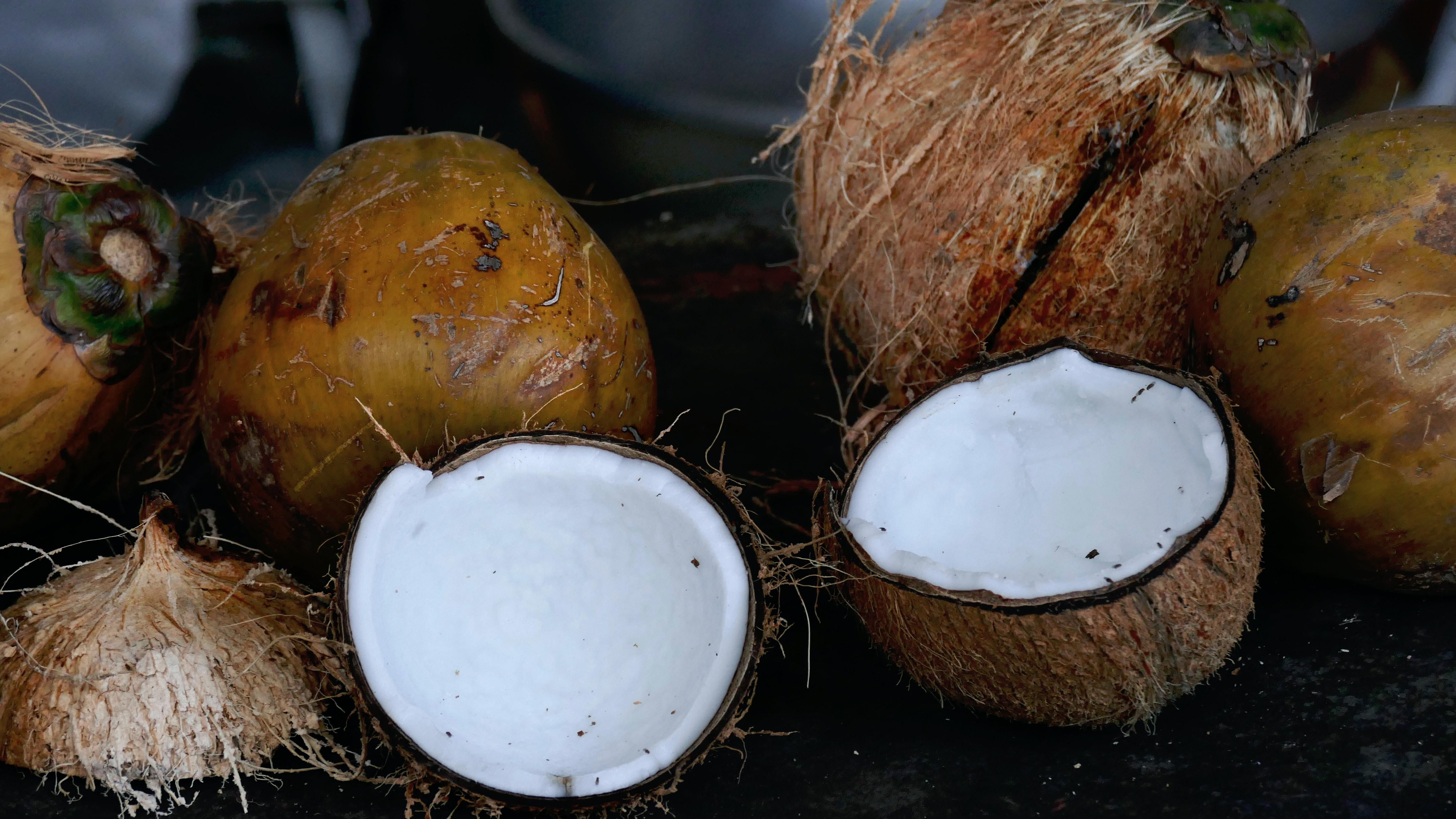 Студенты университета на Бали могут платить за обучение кокосами