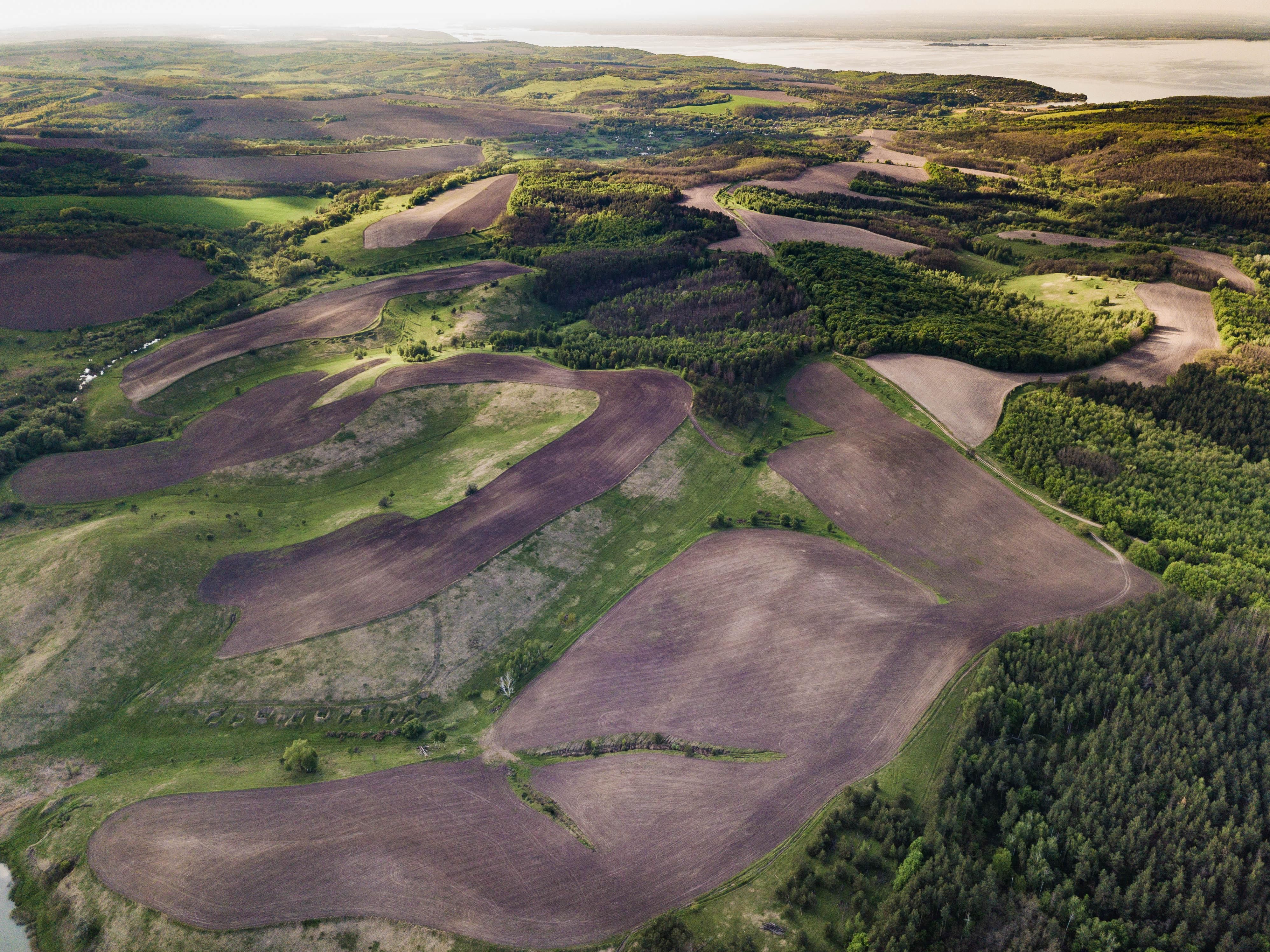Распашка земель разрушает климат, – эксперт Распашка земель разрушает климат, – эксперт