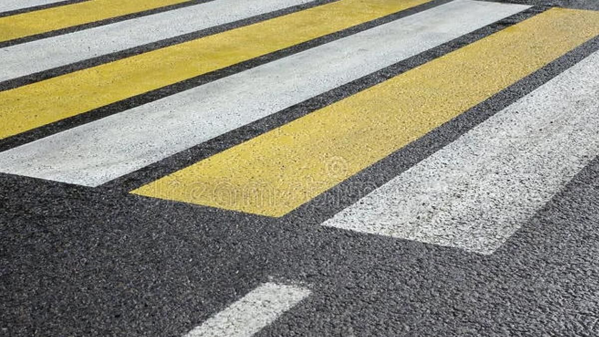 У Києві комунальники намалювали зебру навколо калюжі У Києві комунальники намалювали зебру навколо калюжі