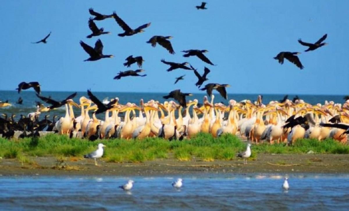 Заповідники України Заповідники України