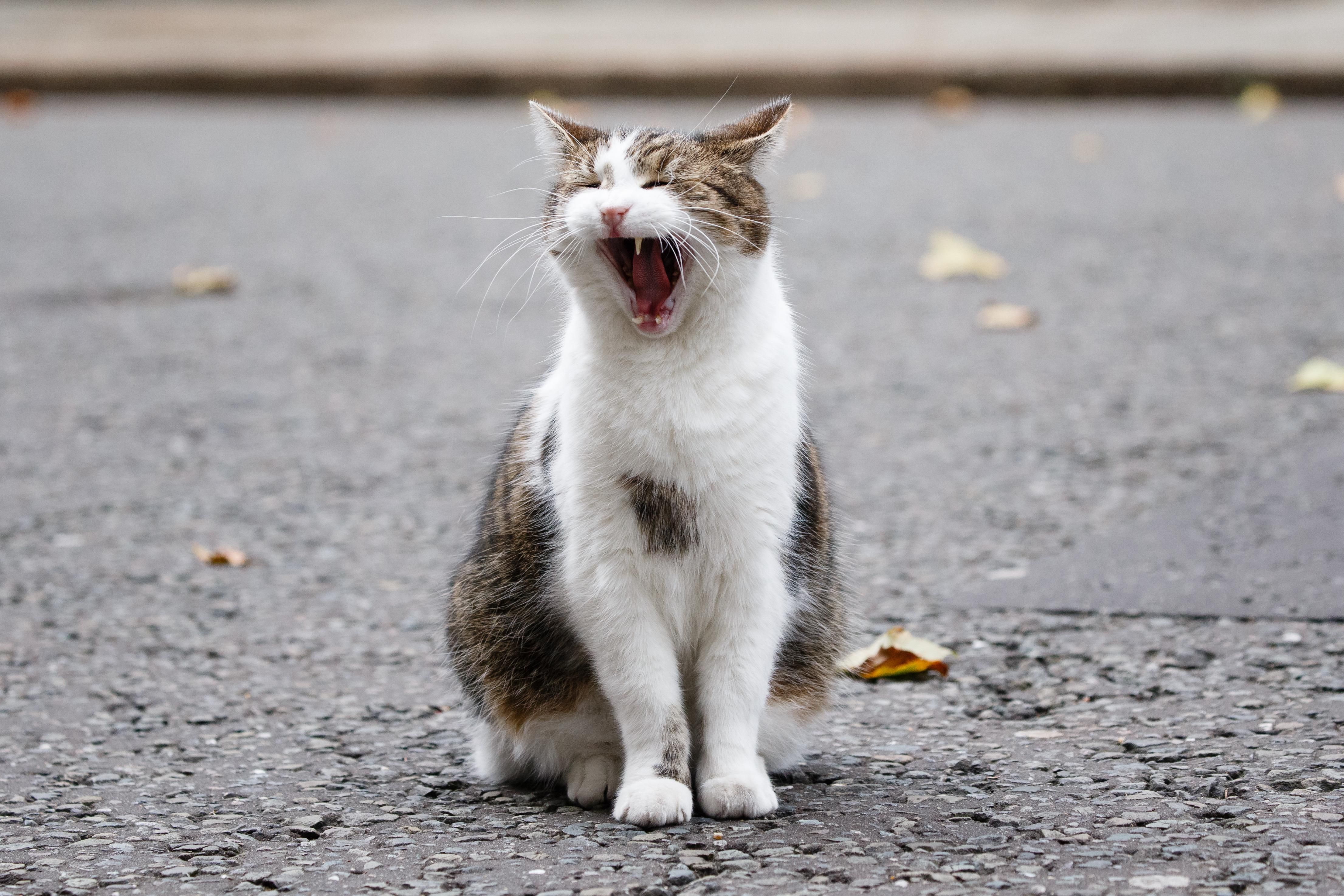 Погода 12 ноября 2020: прогноз от синоптиков Украины Погода 12 ноября 2020: прогноз от синоптиков Украины