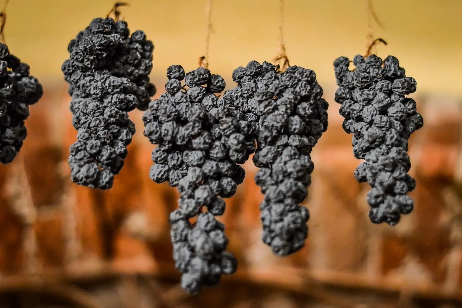 Італійське вино Амароне роблять з висушеного винограду