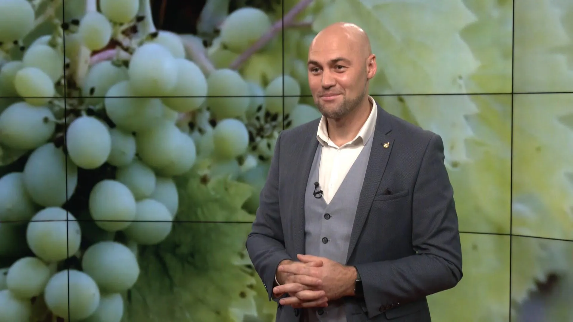 вино сомельє вино сомельє