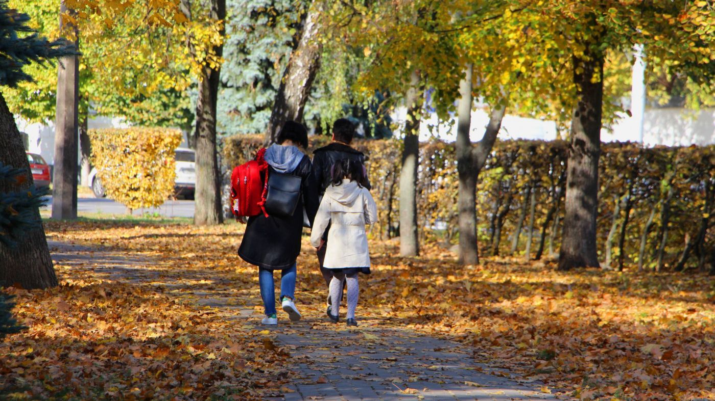 Погода 13 листопада 2020: прогноз від синоптиків України Погода 13 листопада 2020: прогноз від синоптиків України