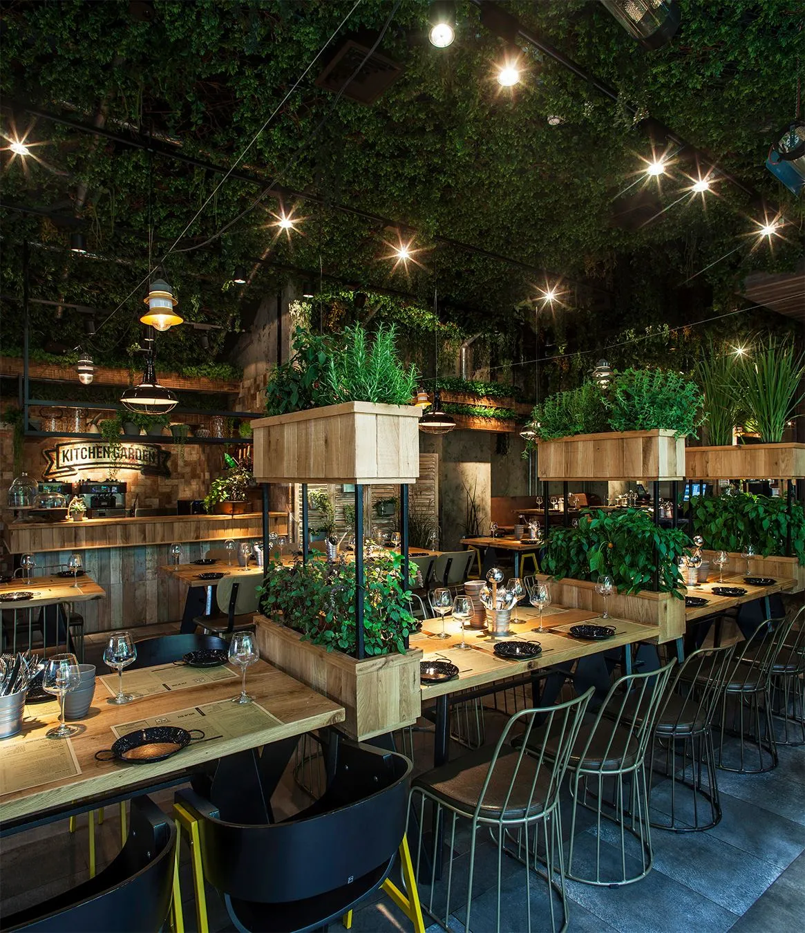 Травы создают особую атмосферу в помещении Травы создают особую атмосферу в помещении