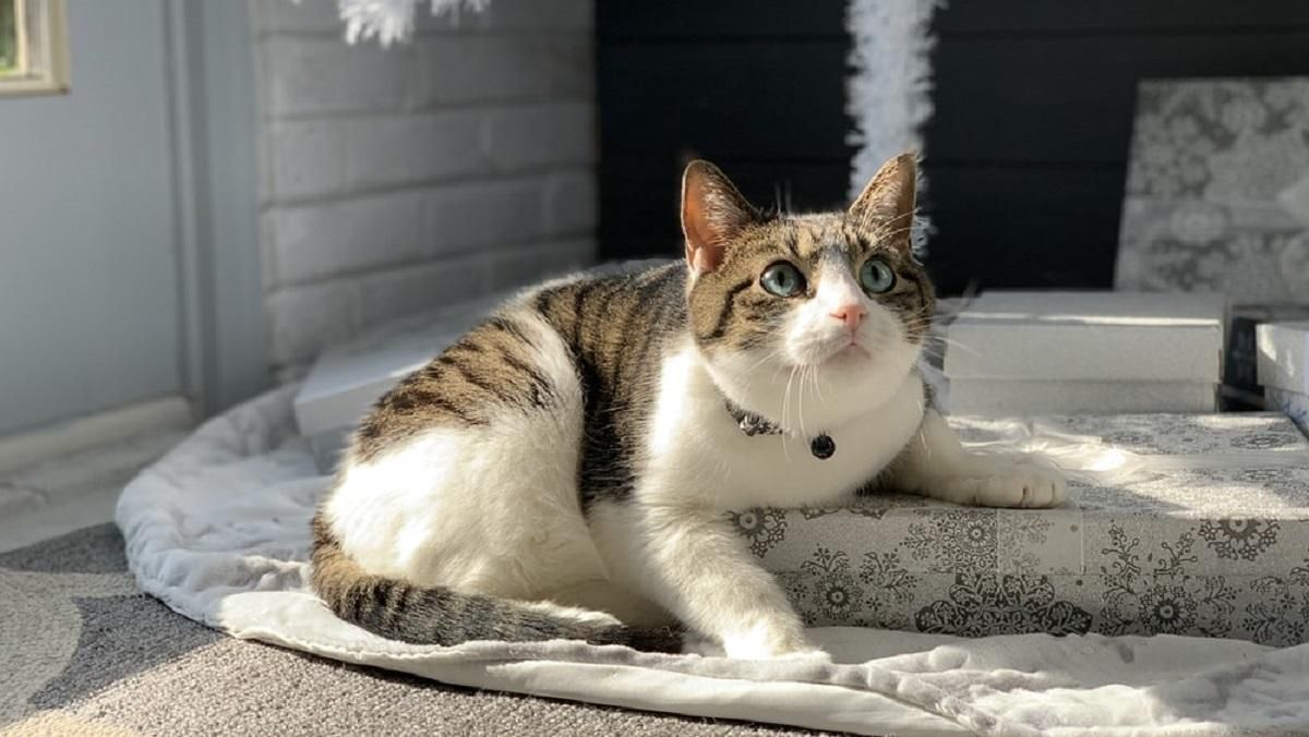 Погода 16 ноября 2020: прогноз от синоптиков Украины Погода 16 ноября 2020: прогноз от синоптиков Украины