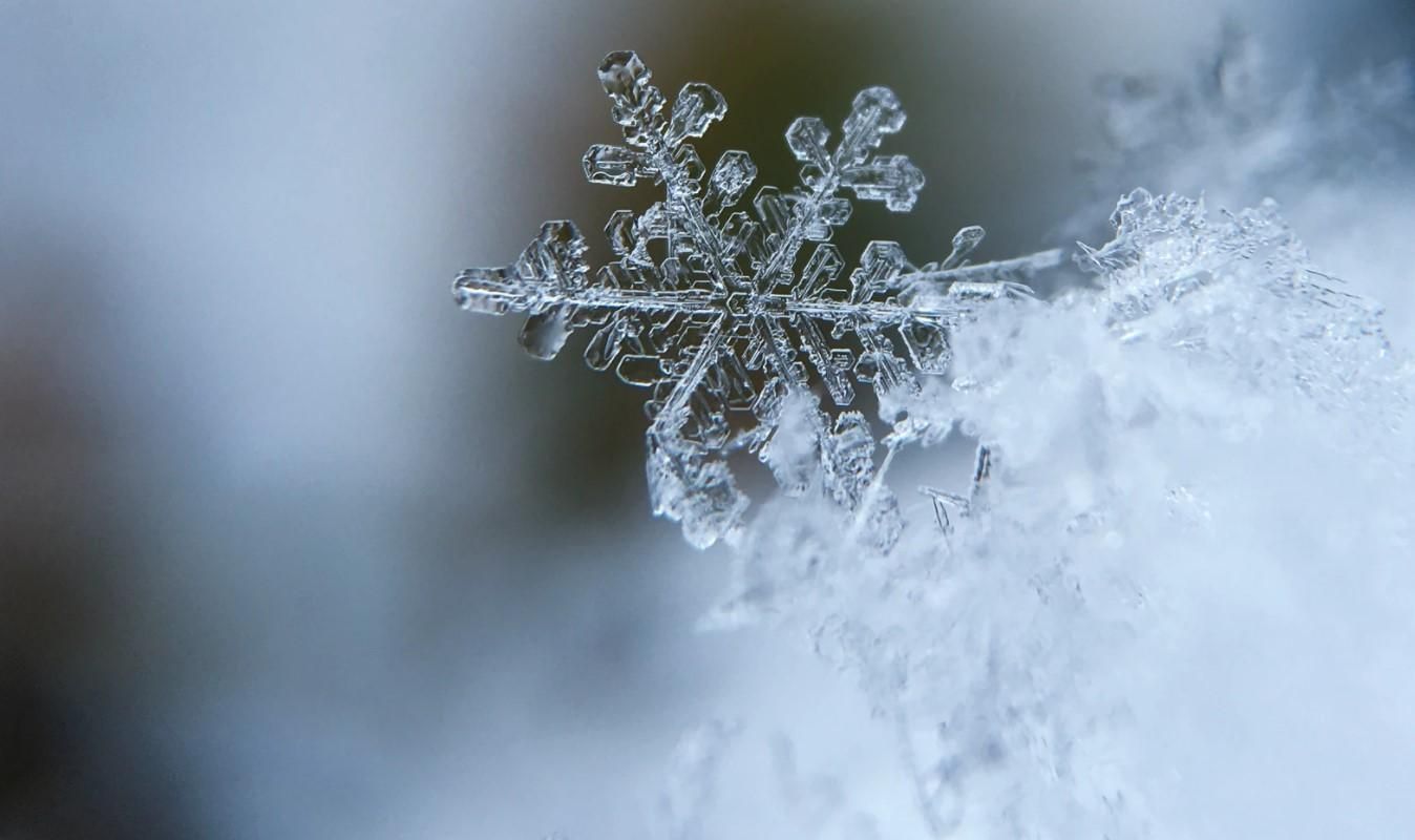 У Харкові випав перший сніг: фото, відео 