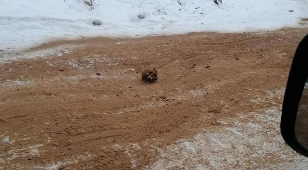 У Росії дорогу засипали піском з кістками й черепами: фото