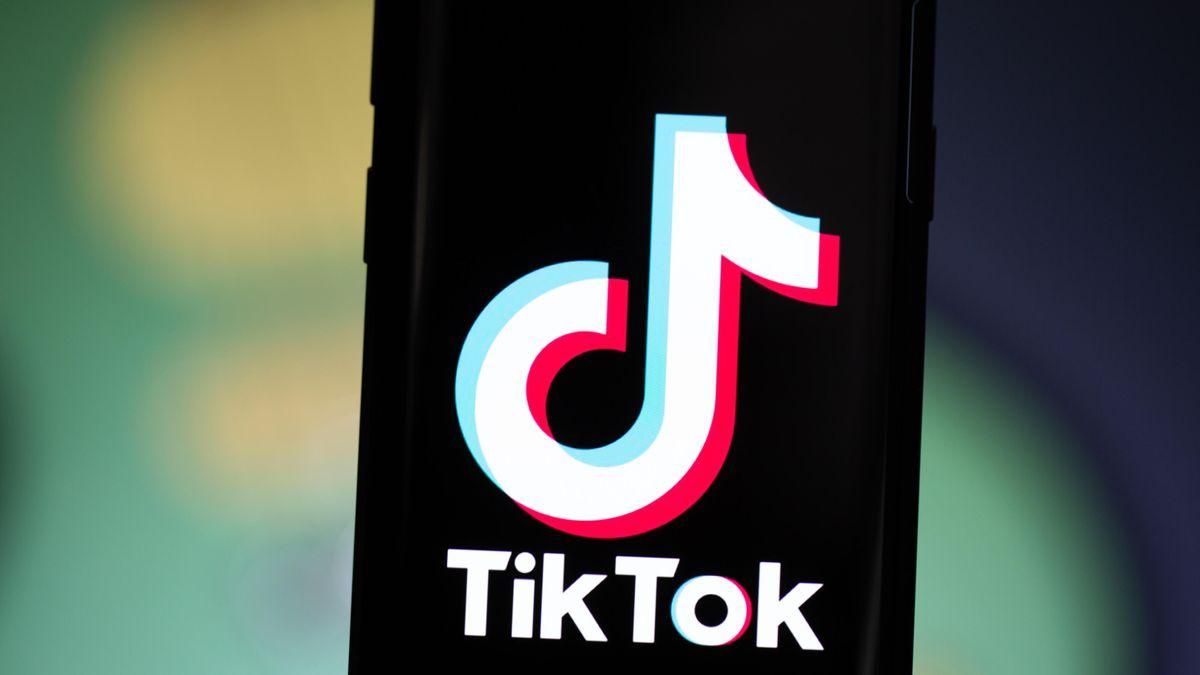 TikTok починит интернет студенту, который стримил с березы, Техно 24 TikTok починит интернет студенту, который стримил с березы, Техно 24