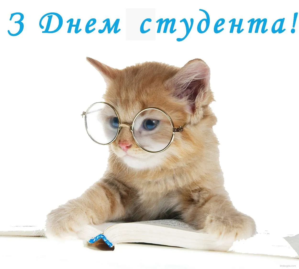 Картинки з Днем студента Картинки з Днем студента