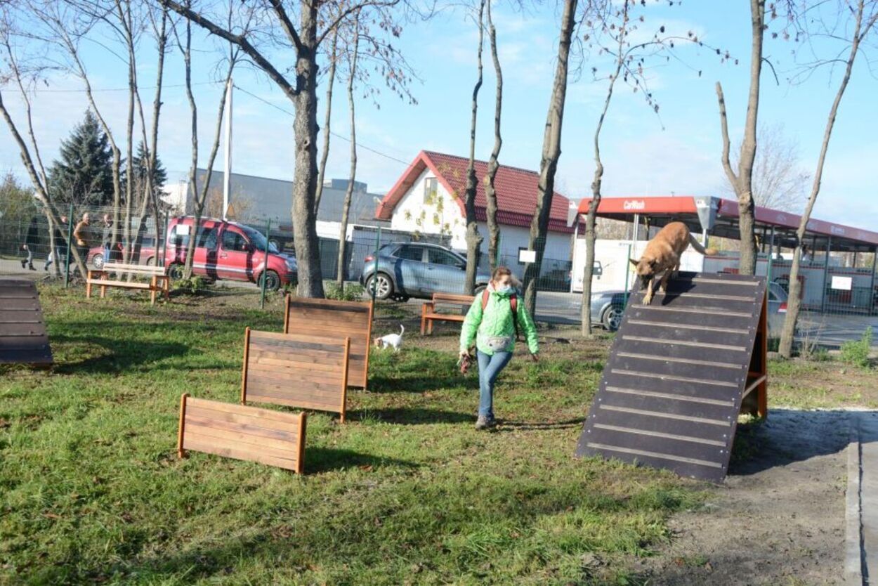 У Львові відкрили новий майданчик для тренування собак: фото