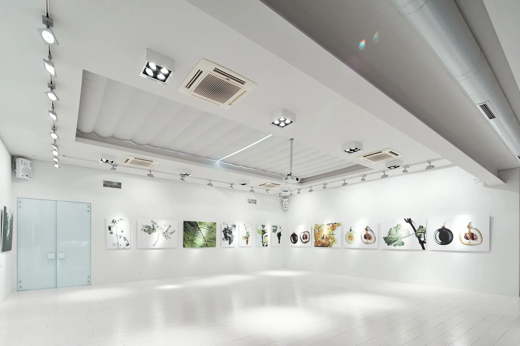 В Центре культуры вина SHABO винограду посвящено десятки арт-объектов. Среди них - галерея работ известного фотографа Мишеля Седана. В Центре культуры вина SHABO винограду посвящено десятки арт-объектов. Среди них - галерея работ известного фотографа Мишеля Седана.