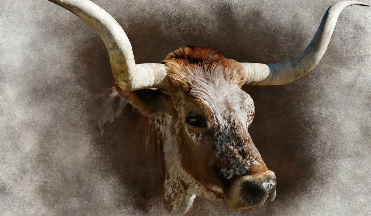 Рік обіцяє бути спокійним Рік обіцяє бути спокійним