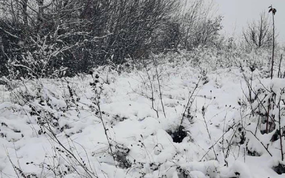Пішки через снігові замети: як на Харківщини медики швидкої добиралися до хворого – фото