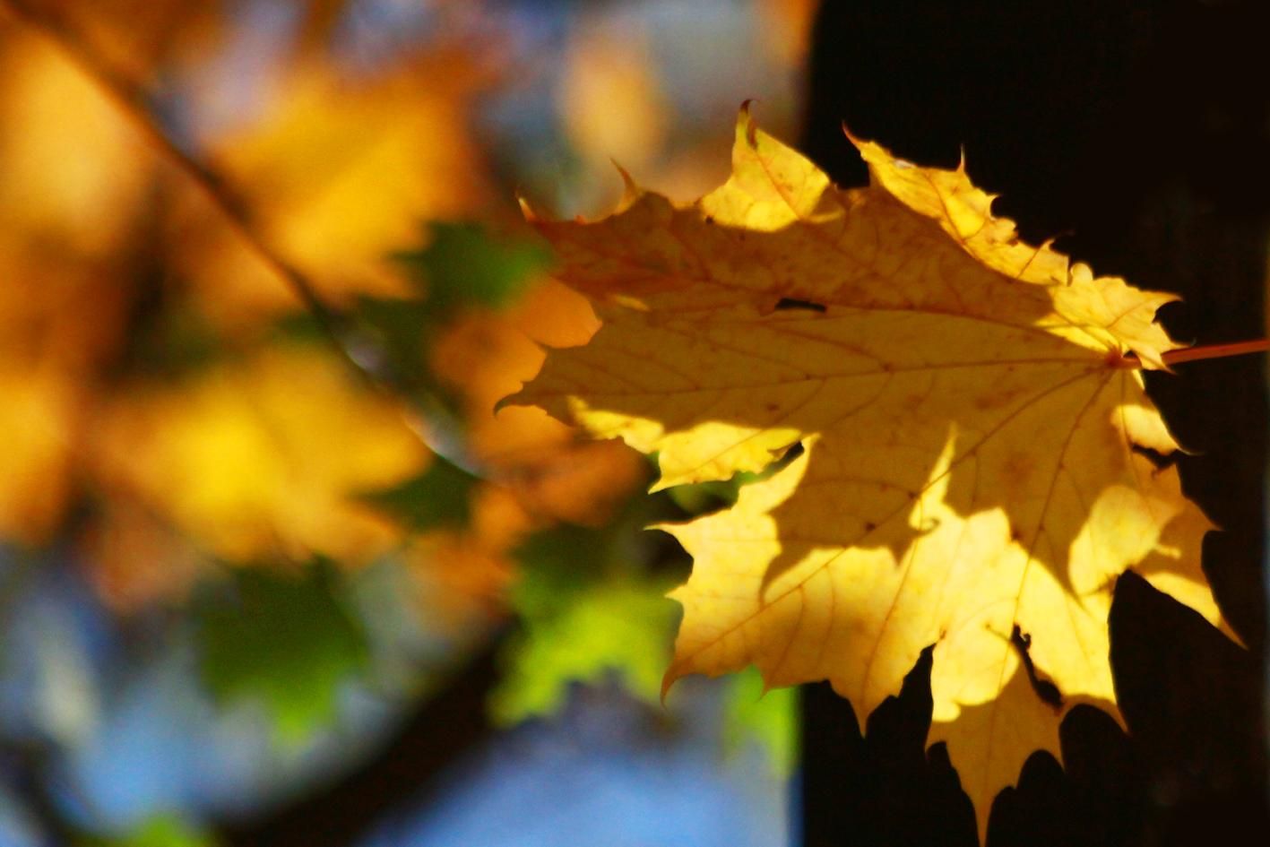 Погода 18 ноября 2020: прогноз от синоптиков Украины