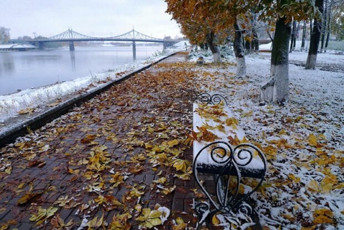 У Києві випав перший сніг 17 листопада 2020: фото, відео
