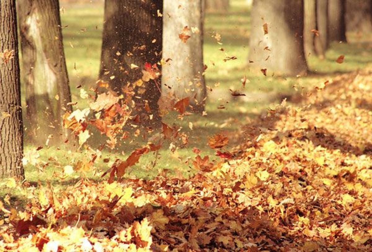 Погода 19 листопада 2020: прогноз від синоптиків України Погода 19 листопада 2020: прогноз від синоптиків України