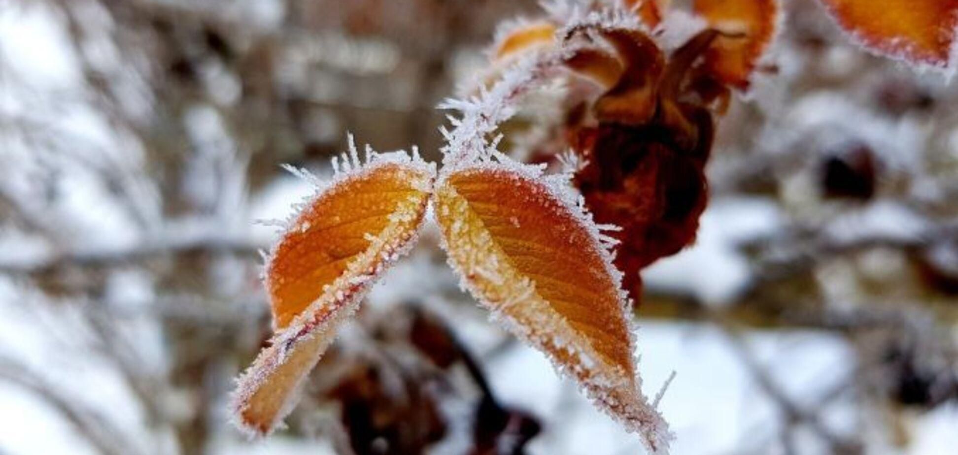 Погода 20 листопада 2020: прогноз від синоптиків України Погода 20 листопада 2020: прогноз від синоптиків України