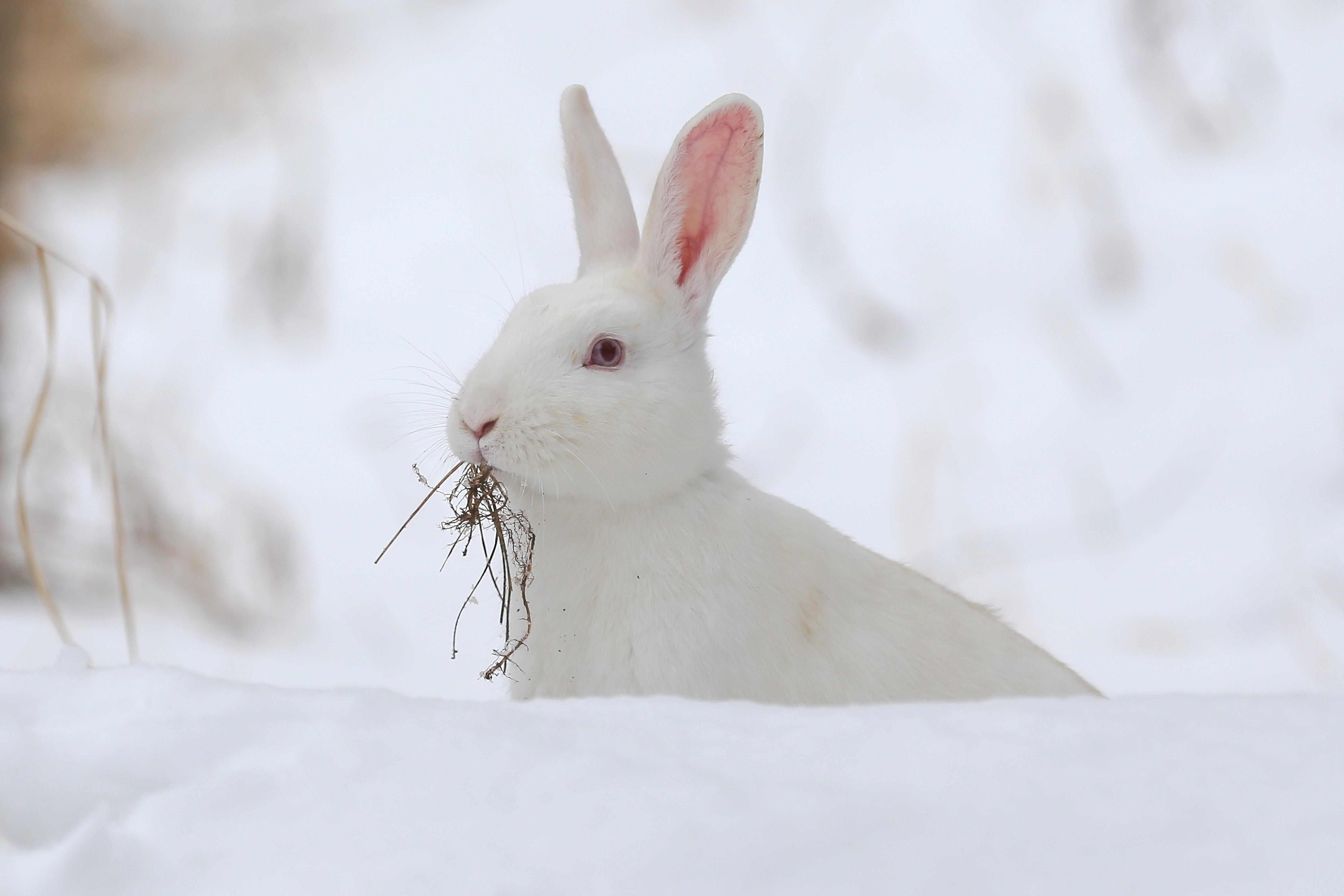Погода 22 листопада 2020: прогноз від синоптиків України Погода 22 листопада 2020: прогноз від синоптиків України