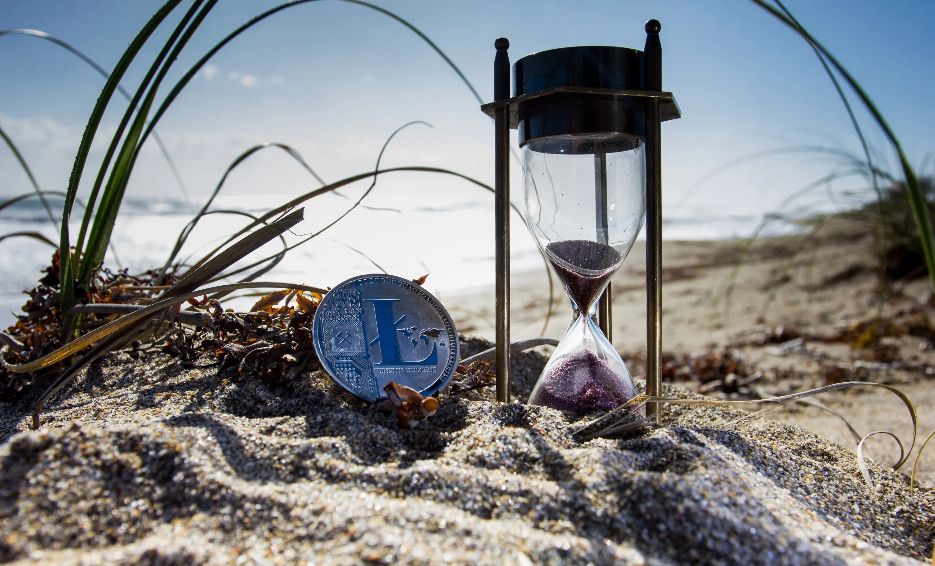 Litecoin / Pexels Litecoin / Pexels