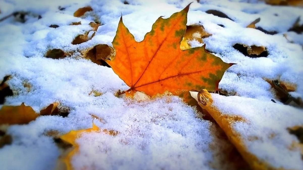 Погода 21 ноября 2020: прогноз от синоптиков Украины Погода 21 ноября 2020: прогноз от синоптиков Украины