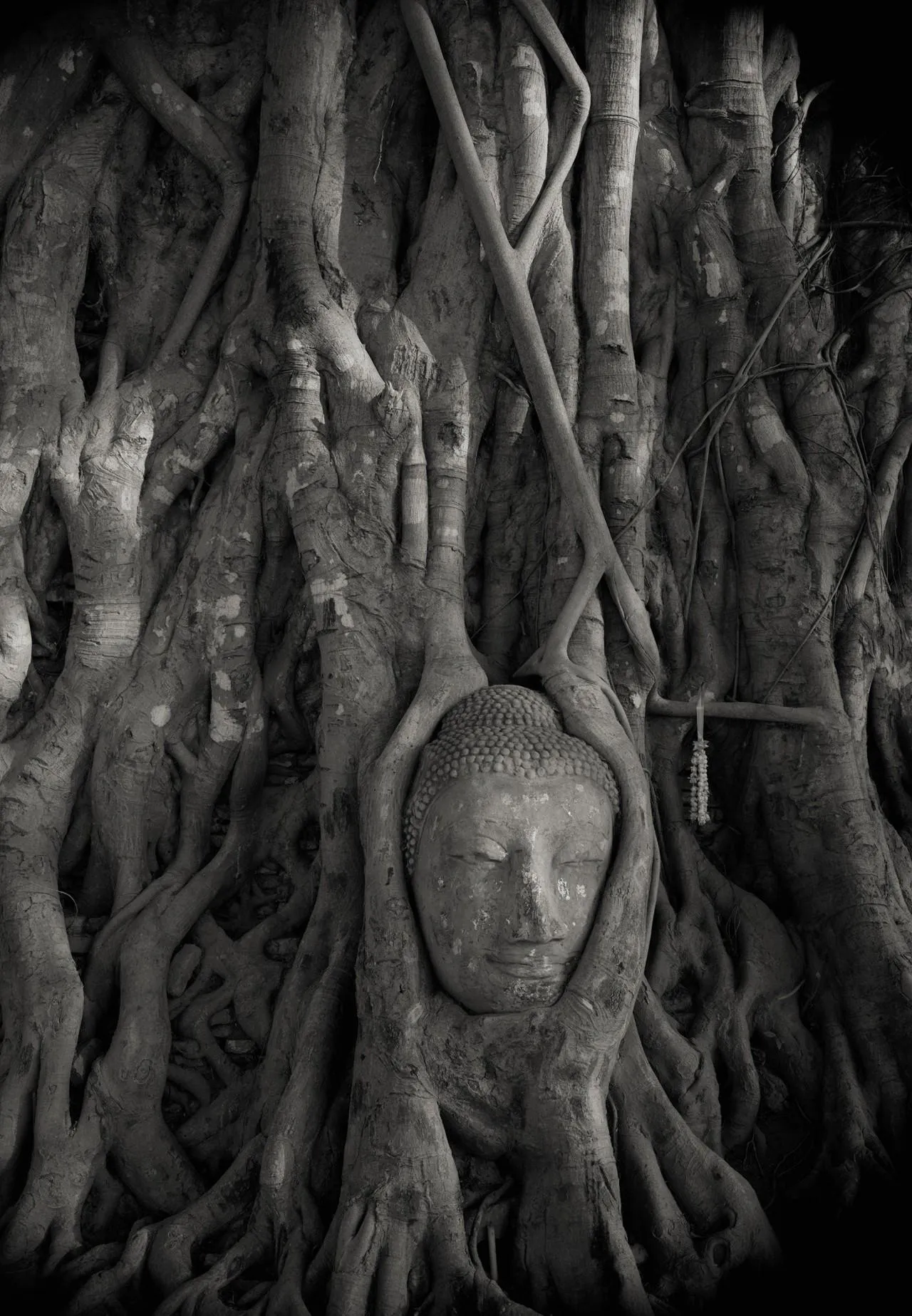 Таїланд Таїланд