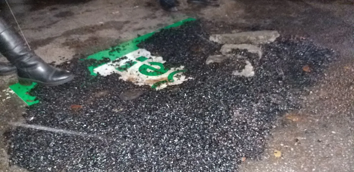 акція біля феофанії завершилася акція біля феофанії завершилася